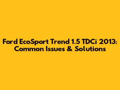 Ford EcoSport Trend 1.5 TDCi 2013: Common Issues & Solutions