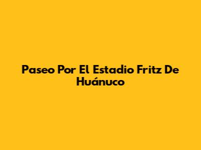 Paseo Por El Estadio Fritz De Huánuco